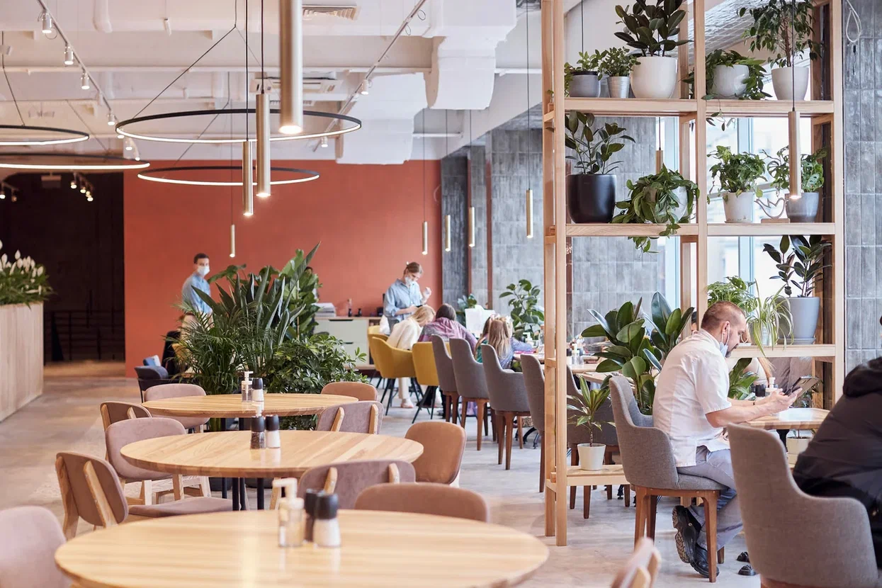 кафе рататуй — изображение 3