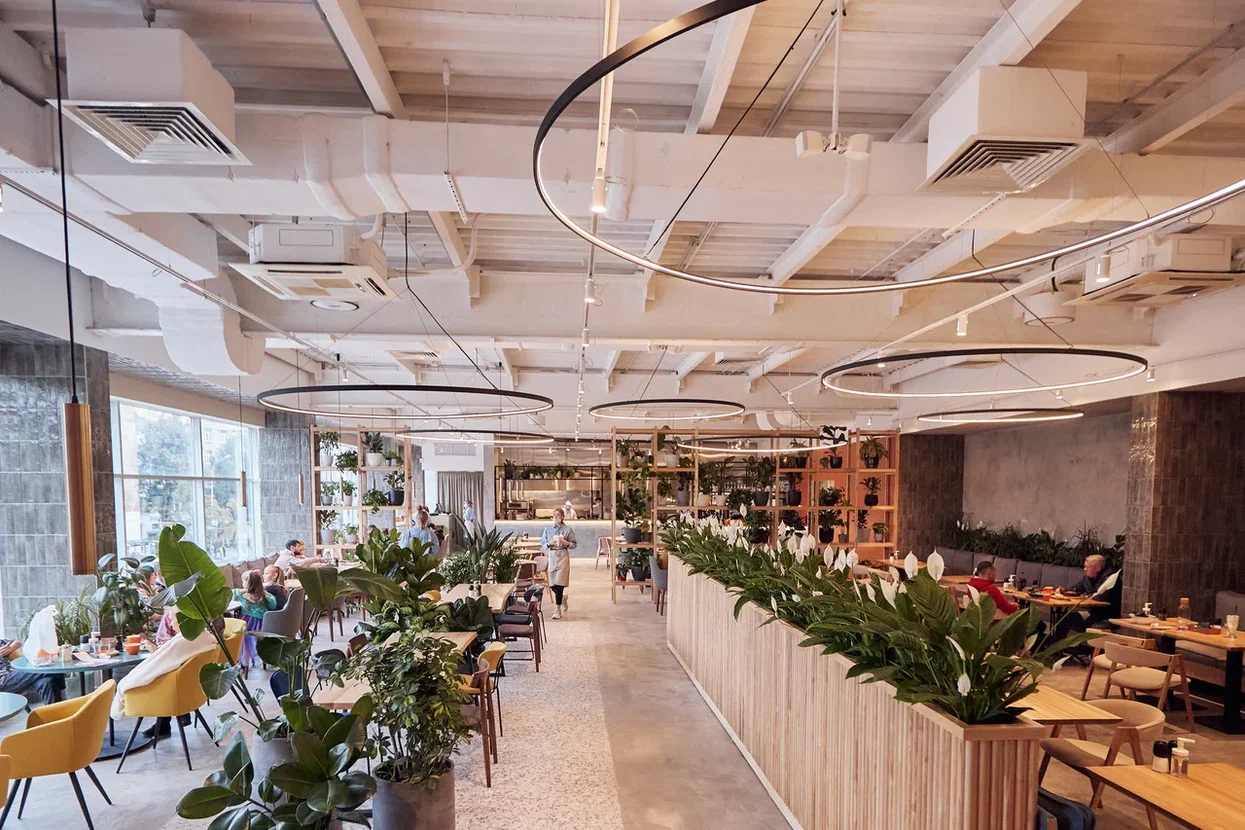 кафе рататуй — изображение 6